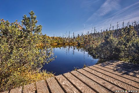 Gemeinde Lindberg Landkreis Regen Latschensee Schachtenwanderung (Dirschl Johann) Deutschland REG